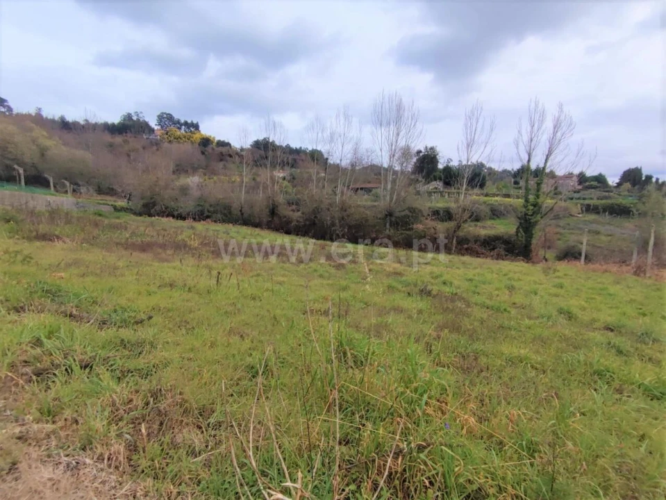 Terreno para Venda em Sande e São Lourenço Foto 5