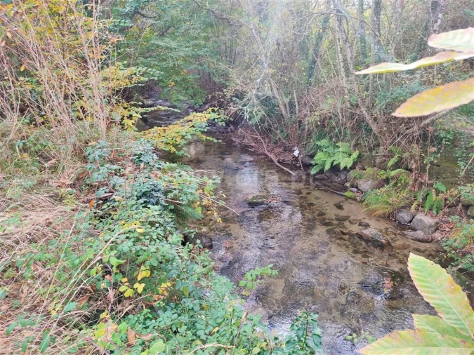 Terreno para Venda em Gove Foto 8