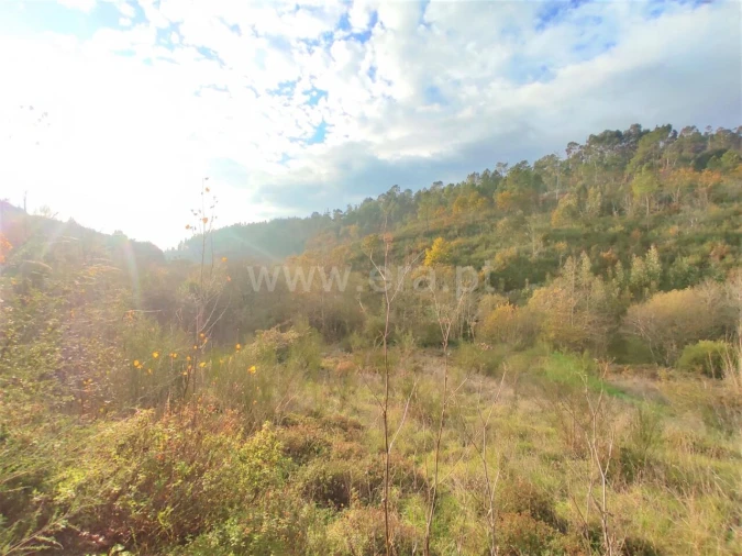 Terreno para Venda em Gove Foto 4