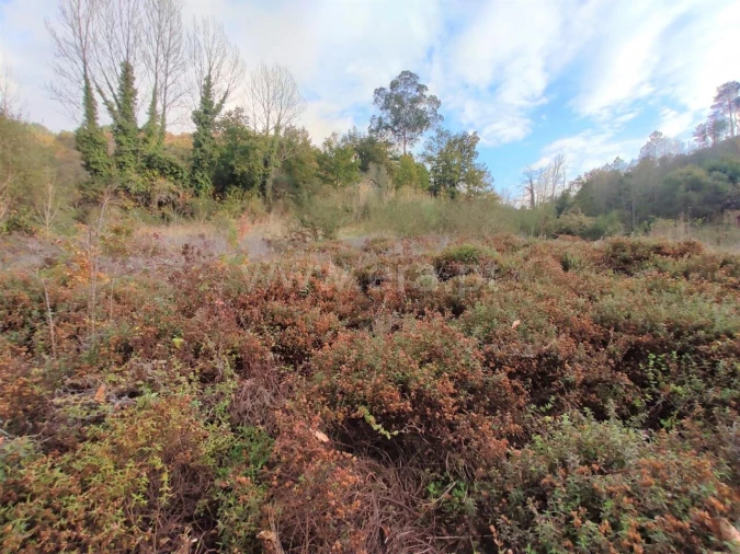 Terreno para Venda em Gove Foto 6
