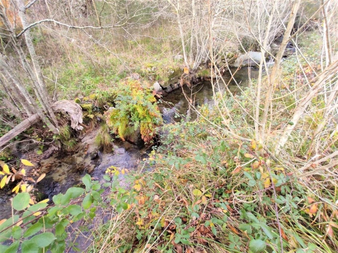 Terreno para Venda em Gove Foto 7