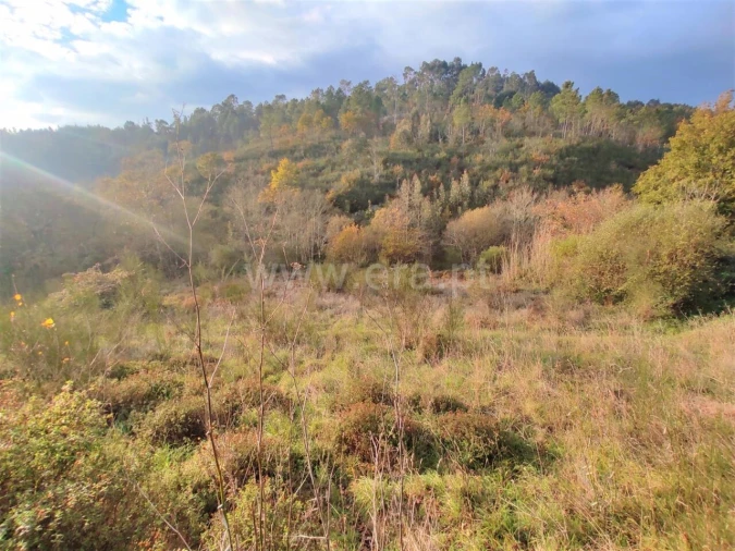 Terreno para Venda em Gove Foto 3