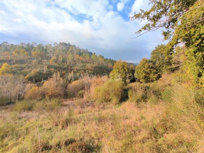 Terreno para Venda em Gove Foto 5