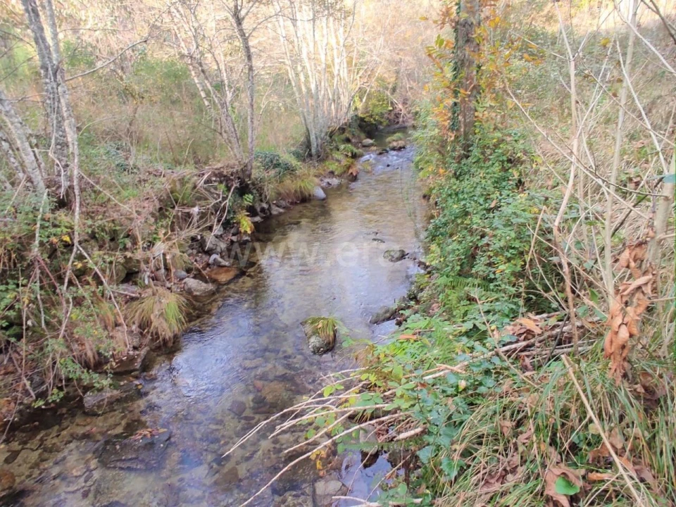 Terreno para Venda em Gove Foto 9