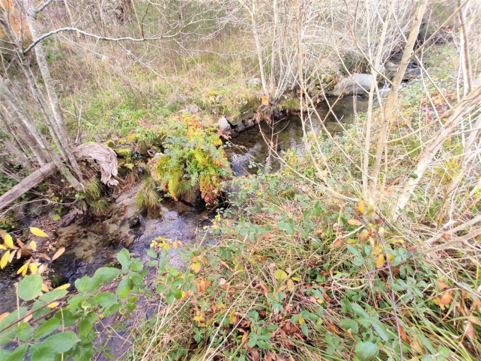 Terreno para Venda em Gove Foto 7