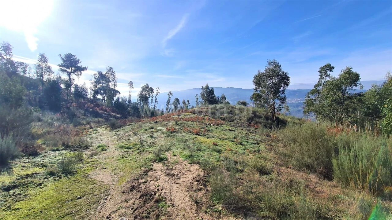 Terreno para Venda em Soalhães Foto 1