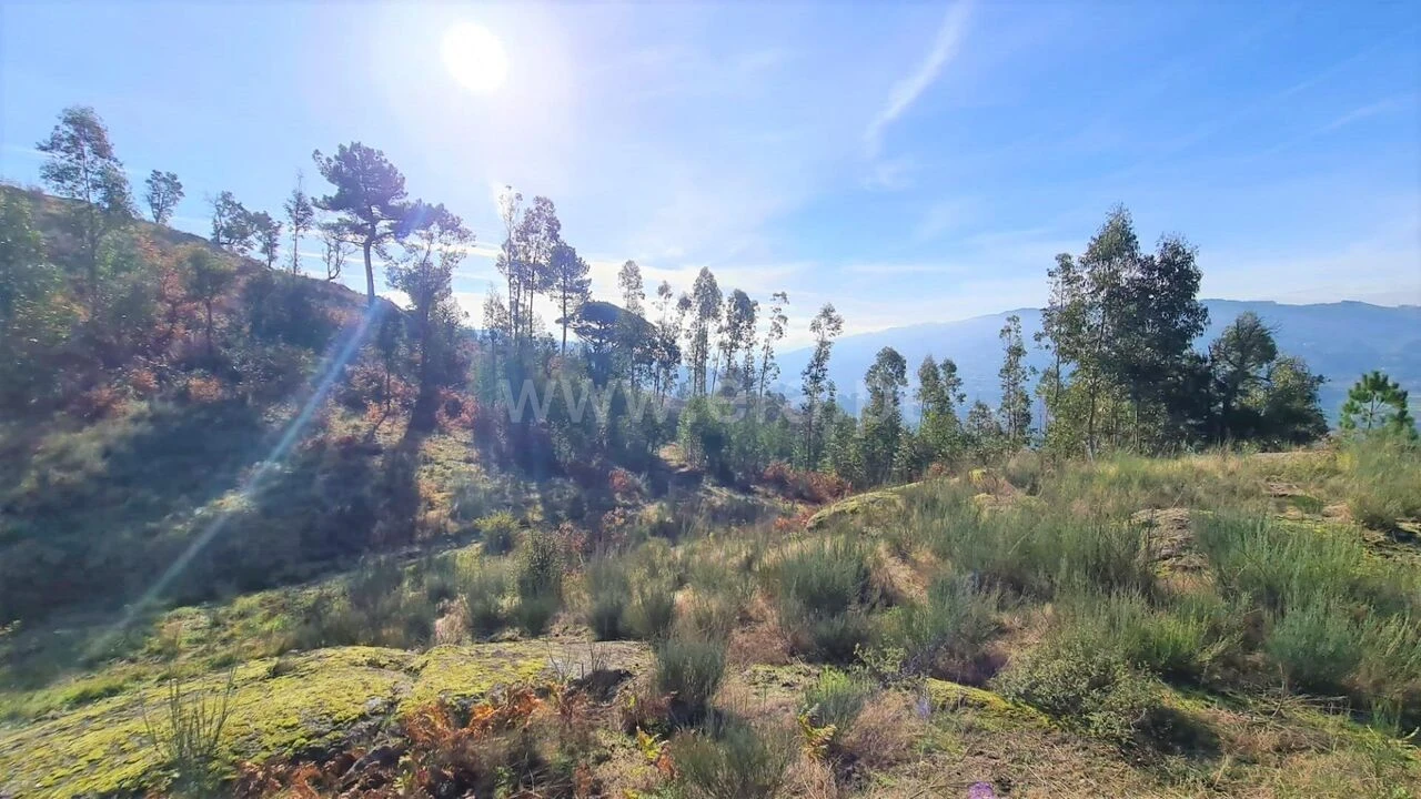 Terreno para Venda em Soalhães Foto 6