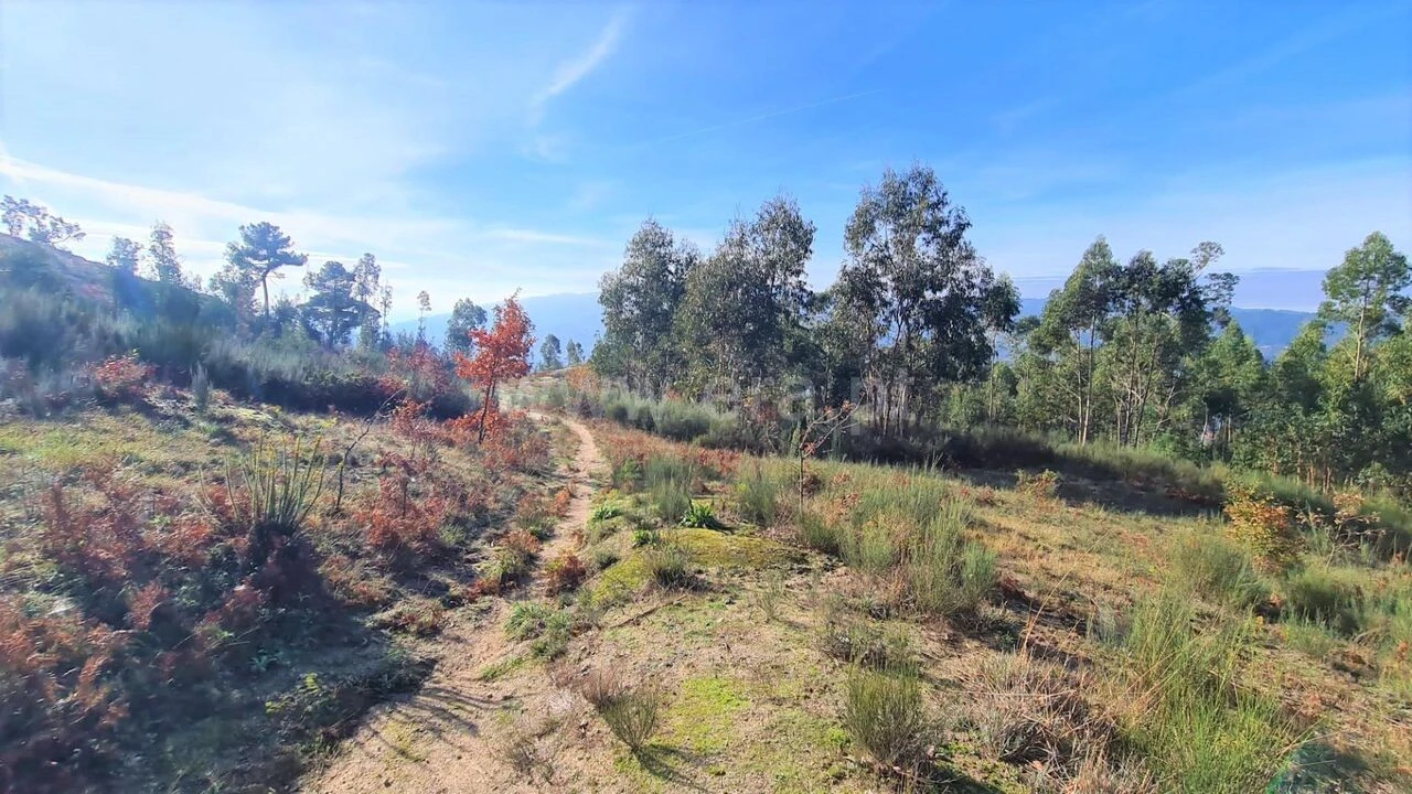 Terreno para Venda em Soalhães Foto 7