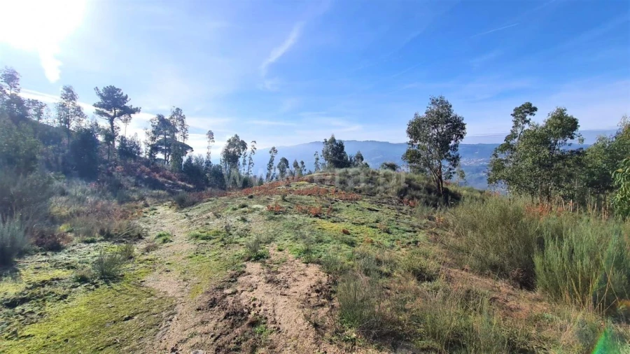 Terreno para Venda em Soalhães