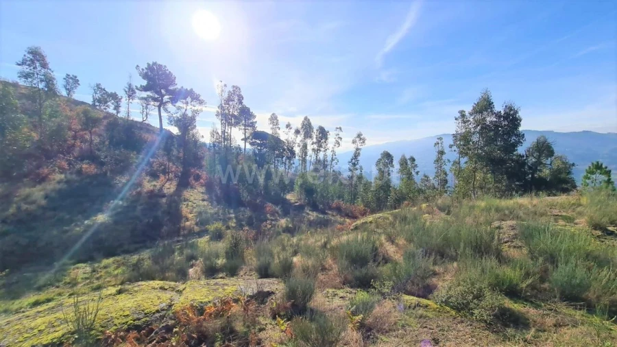 Terreno para Venda em Soalhães Foto 6