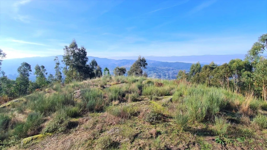 Terreno para Venda em Soalhães Foto 4