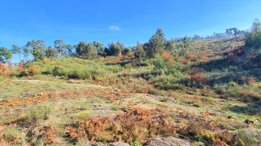 Terreno para Venda em Soalhães Foto 3