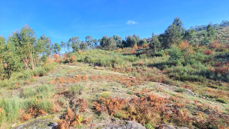 Terreno para Venda em Soalhães Foto 2