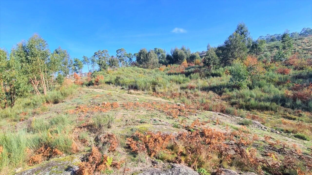 Terreno para Venda em Soalhães Foto 2