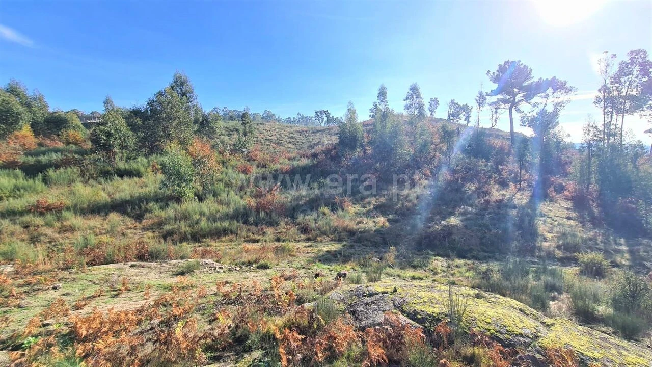 Terreno para Venda em Soalhães Foto 5