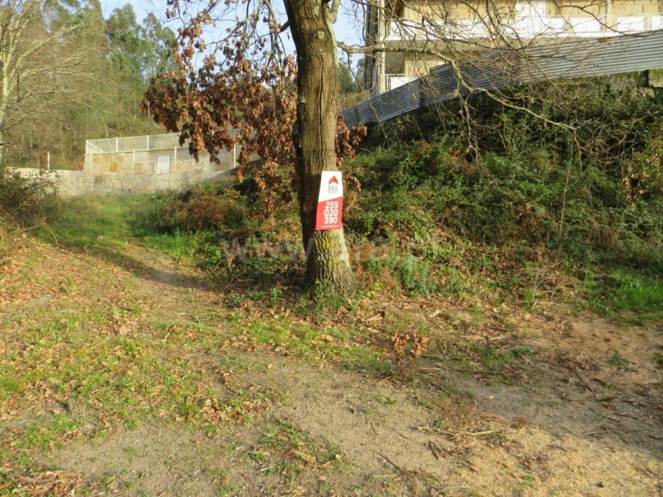 Terreno para Venda em Alpendorada, Várzea e Torrão Foto 13