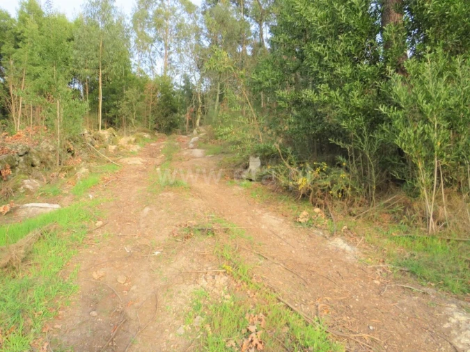 Terreno para Venda em Alpendorada, Várzea e Torrão Foto 14
