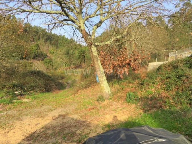 Terreno para Venda em Alpendorada, Várzea e Torrão Foto 6