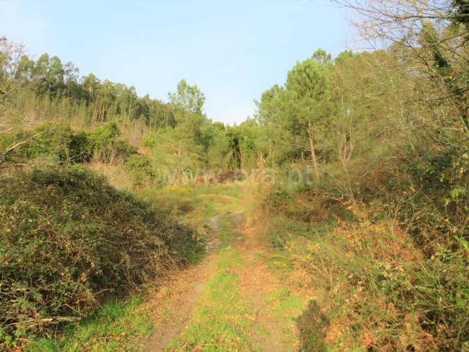 Terreno para Venda em Alpendorada, Várzea e Torrão Foto 10