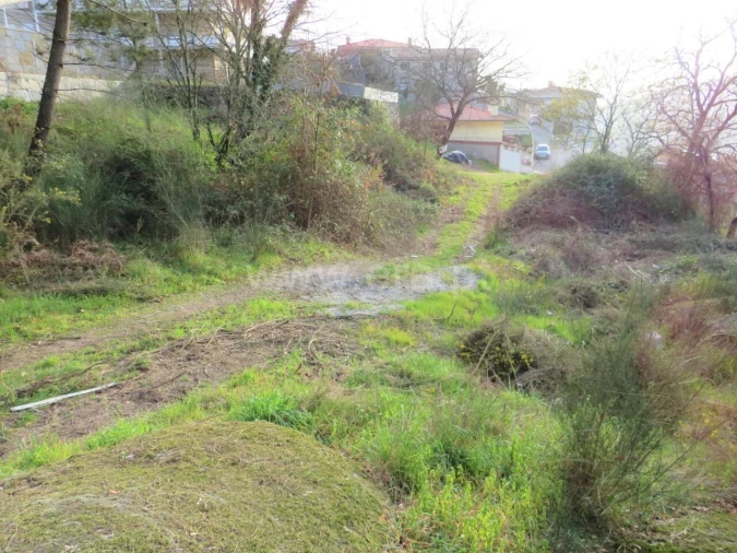 Terreno para Venda em Alpendorada, Várzea e Torrão Foto 8