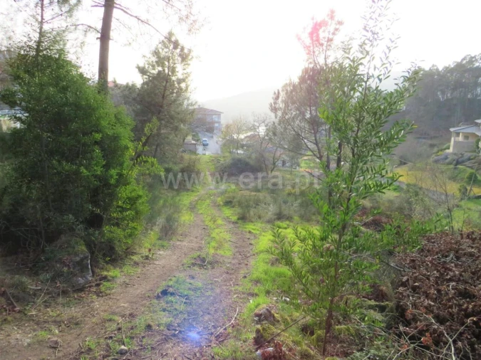 Terreno para Venda em Alpendorada, Várzea e Torrão Foto 12