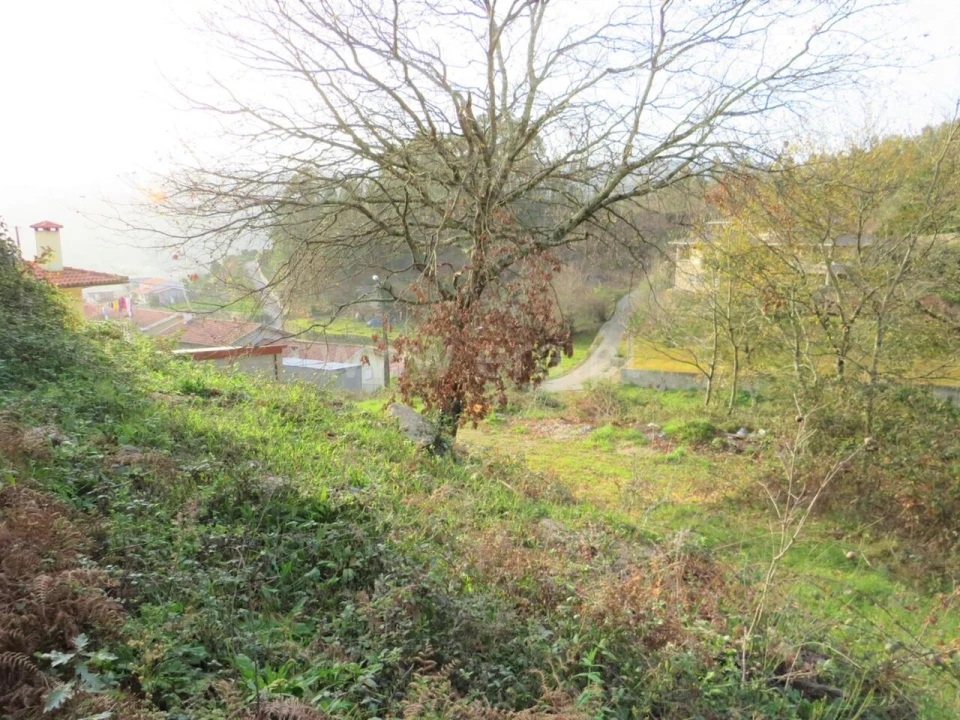 Terreno para Venda em Alpendorada, Várzea e Torrão Foto 3