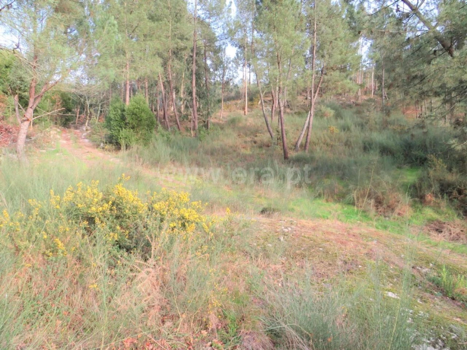 Terreno para Venda em Alpendorada, Várzea e Torrão Foto 11
