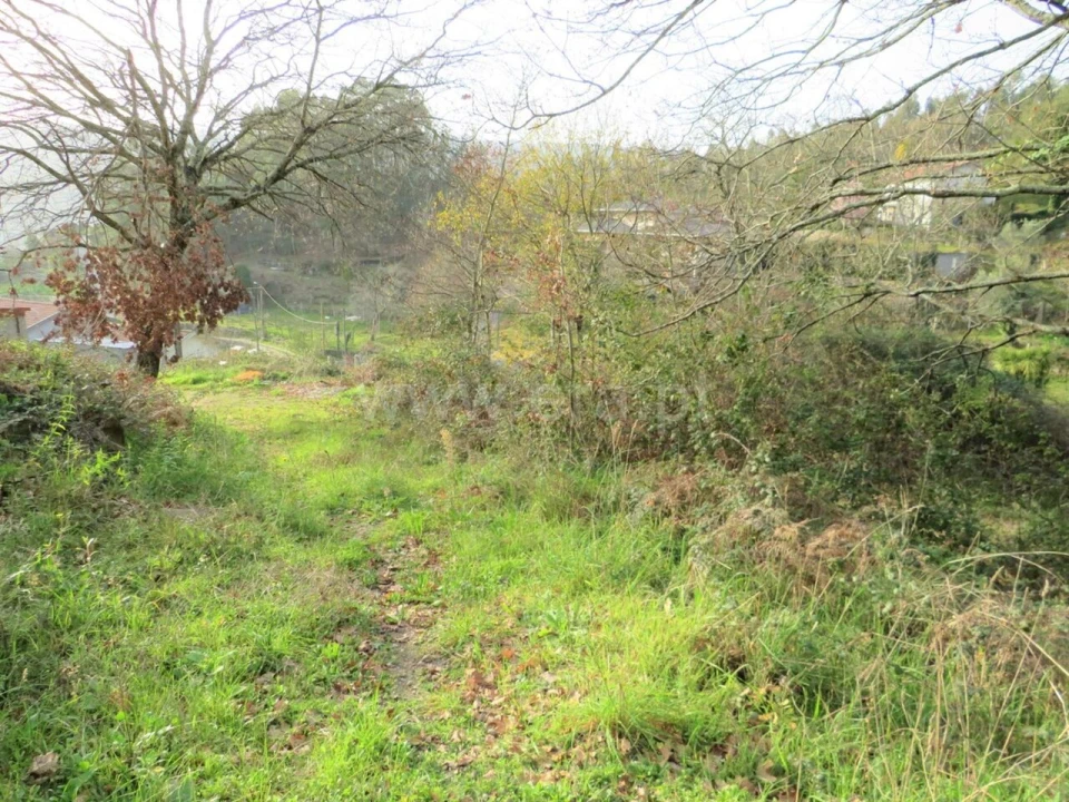 Terreno para Venda em Alpendorada, Várzea e Torrão Foto 5