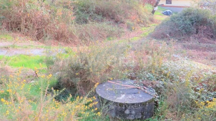 Terreno para Venda em Alpendorada, Várzea e Torrão
