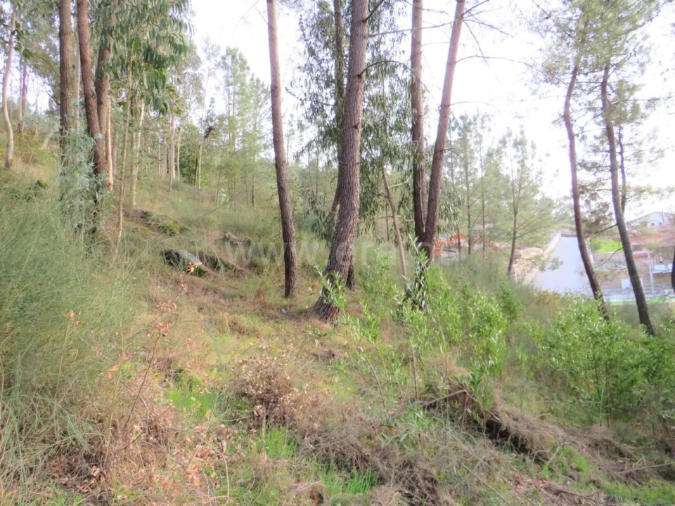 Terreno para Venda em Alpendorada, Várzea e Torrão Foto 9