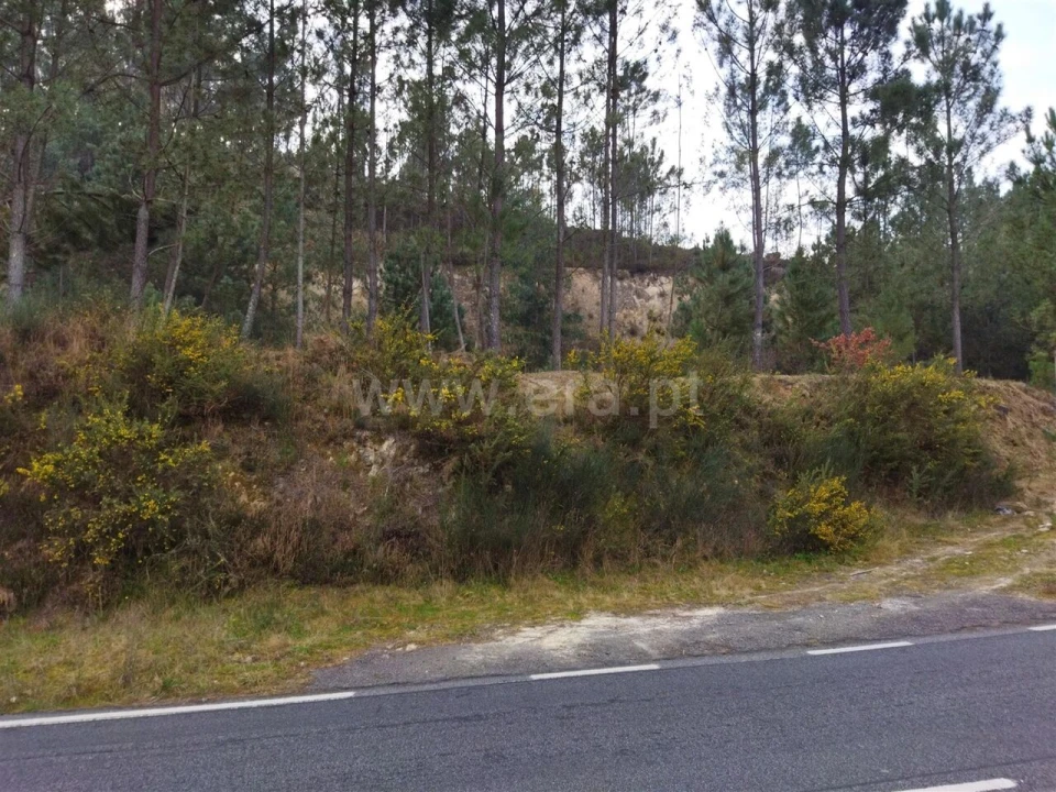 Terreno para Venda em Santiago de Piães Foto 3