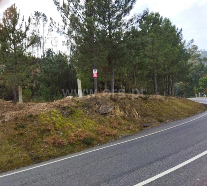 Terreno para Venda em Santiago de Piães Foto 1
