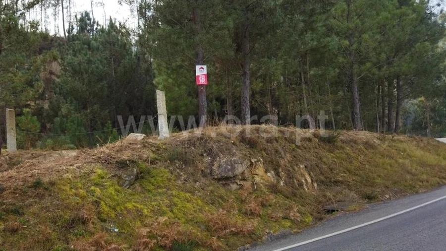 Terreno para Venda em Santiago de Piães