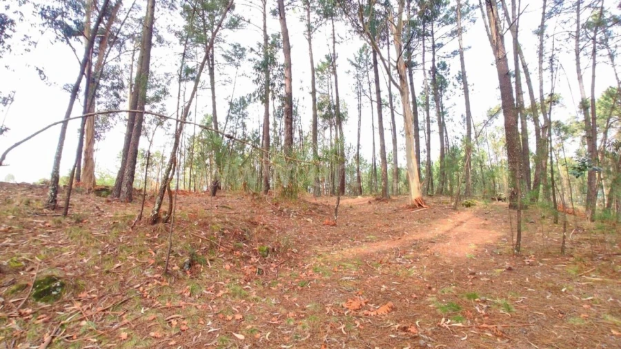 Terreno para Venda em Avessadas e Rosém Foto 2