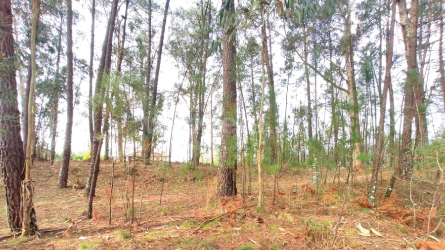 Terreno para Venda em Avessadas e Rosém Foto 6