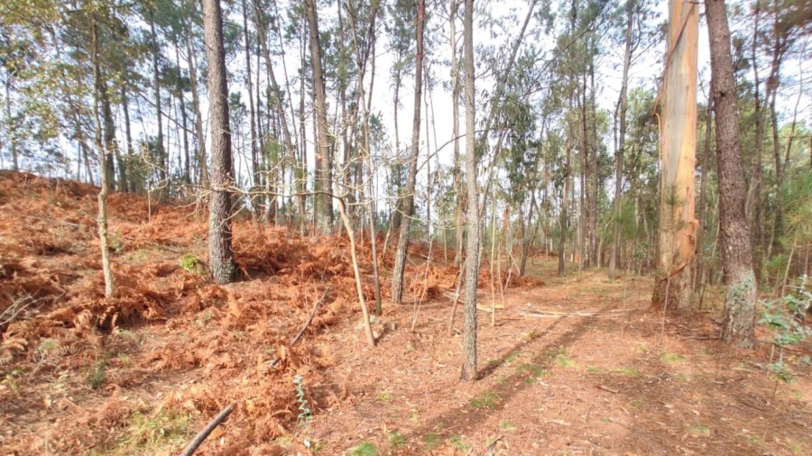 Terreno para Venda em Avessadas e Rosém Foto 4