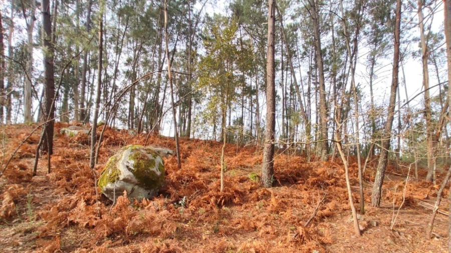 Terreno para Venda em Avessadas e Rosém Foto 5