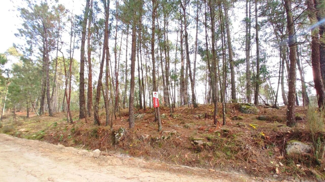 Terreno para Venda em Avessadas e Rosém Foto 3