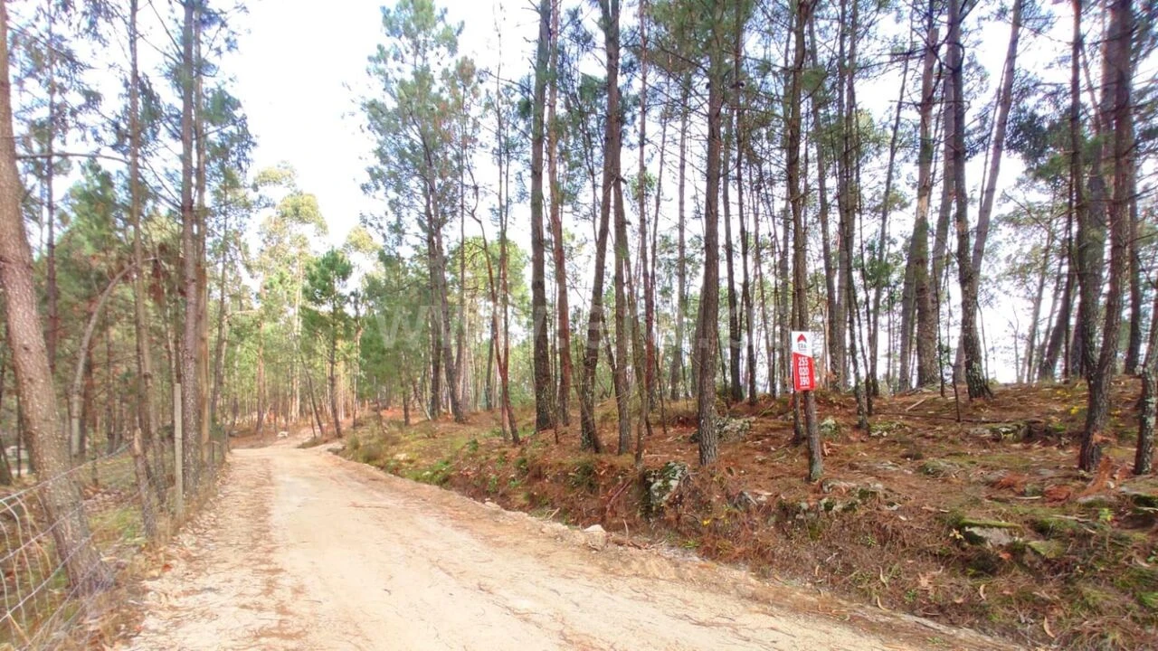 Terreno para Venda em Avessadas e Rosém Foto 1