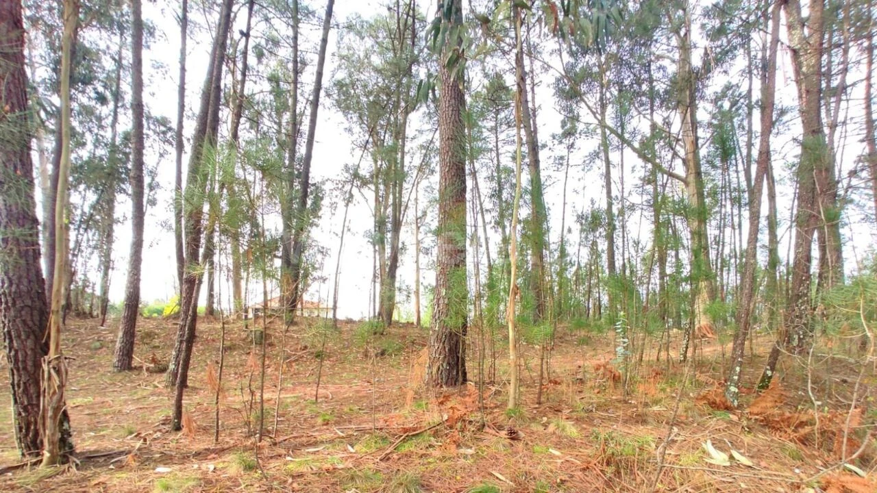 Terreno para Venda em Avessadas e Rosém Foto 6