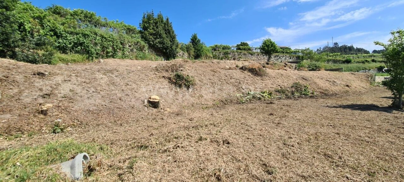 Terreno para Venda em Sande e São Lourenço Foto 3