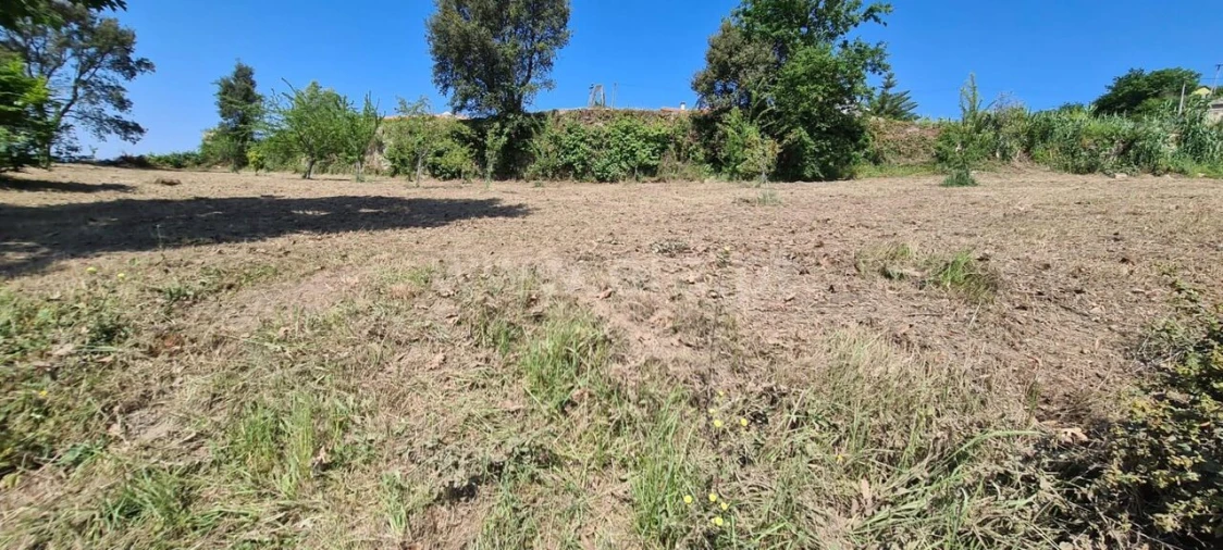 Terreno para Venda em Sande e São Lourenço Foto 4