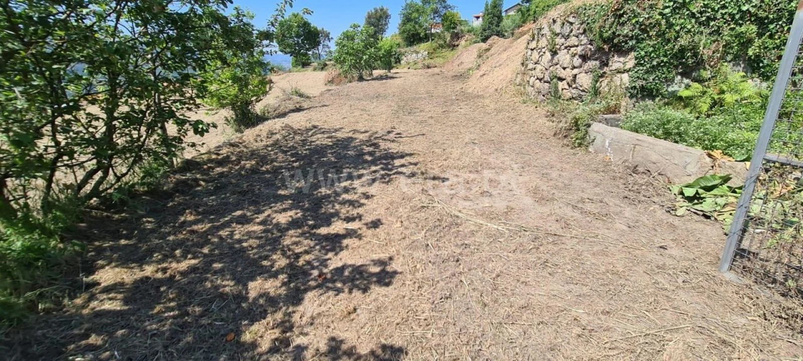 Terreno para Venda em Sande e São Lourenço Foto 3