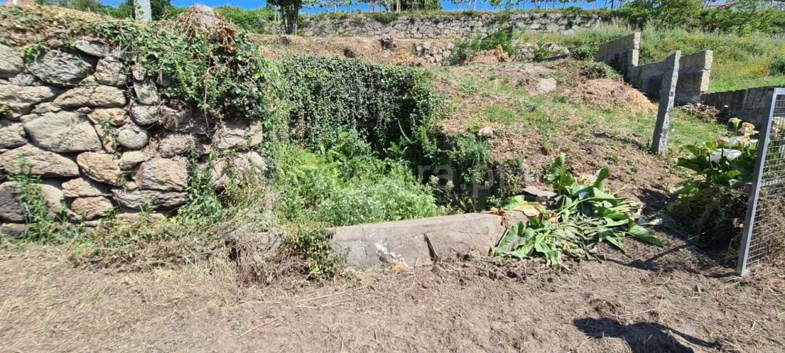 Terreno para Venda em Sande e São Lourenço Foto 4