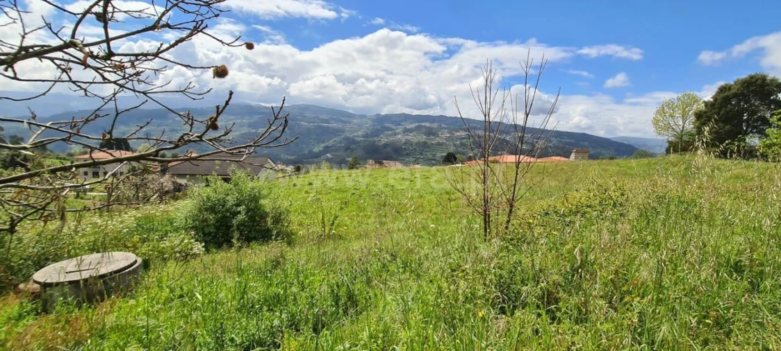 Terreno para Venda em Sande e São Lourenço Foto 2