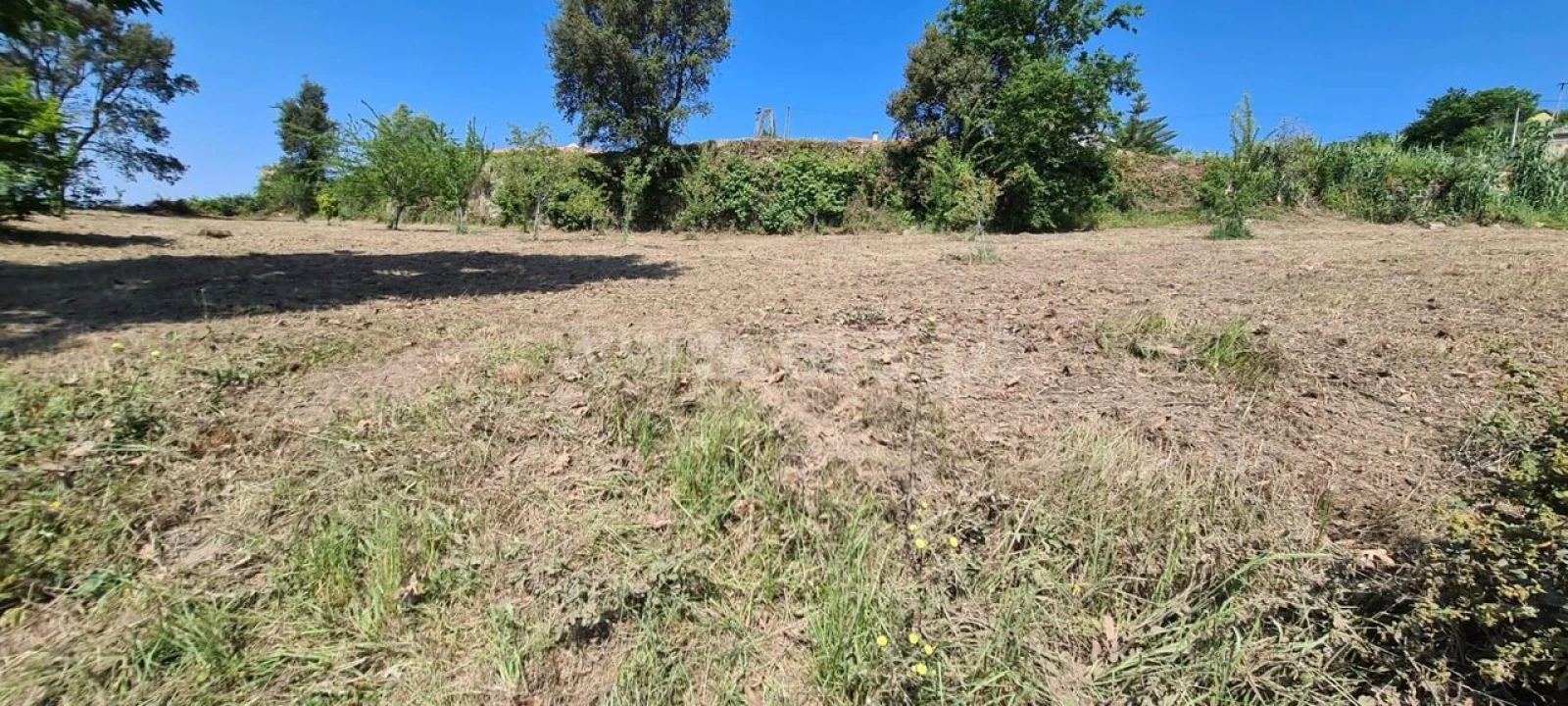 Terreno para Venda em Sande e São Lourenço Foto 8