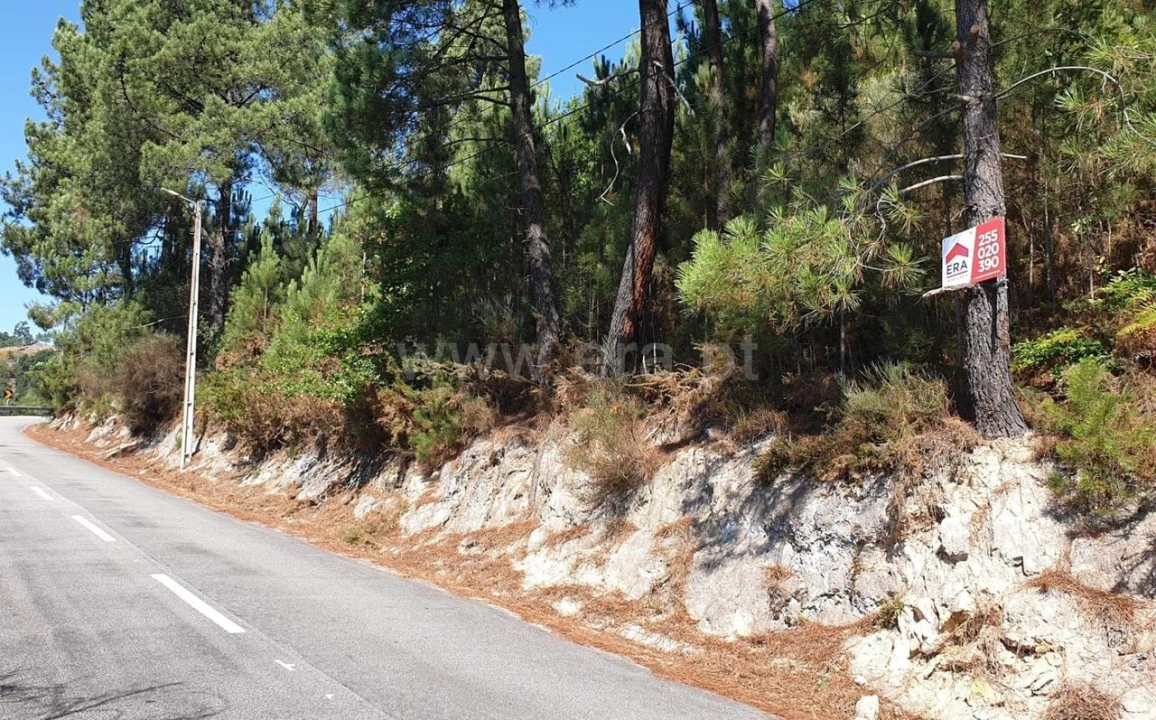 Terreno para Venda em Penhalonga e Paços de Gaiolo Foto 1