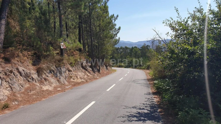 Terreno para Venda em Penhalonga e Paços de Gaiolo Foto 2