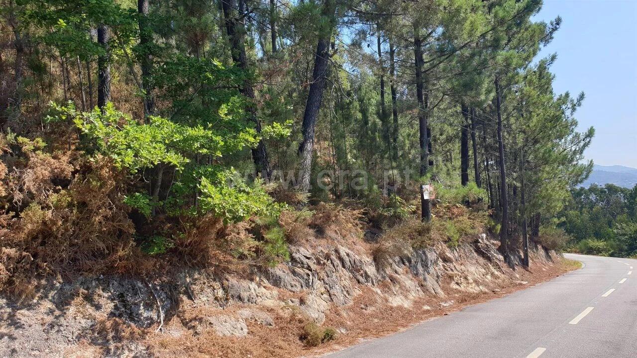 Terreno para Venda em Penhalonga e Paços de Gaiolo Foto 3