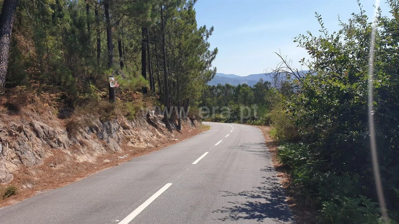 Terreno para Venda em Penhalonga e Paços de Gaiolo Foto 2